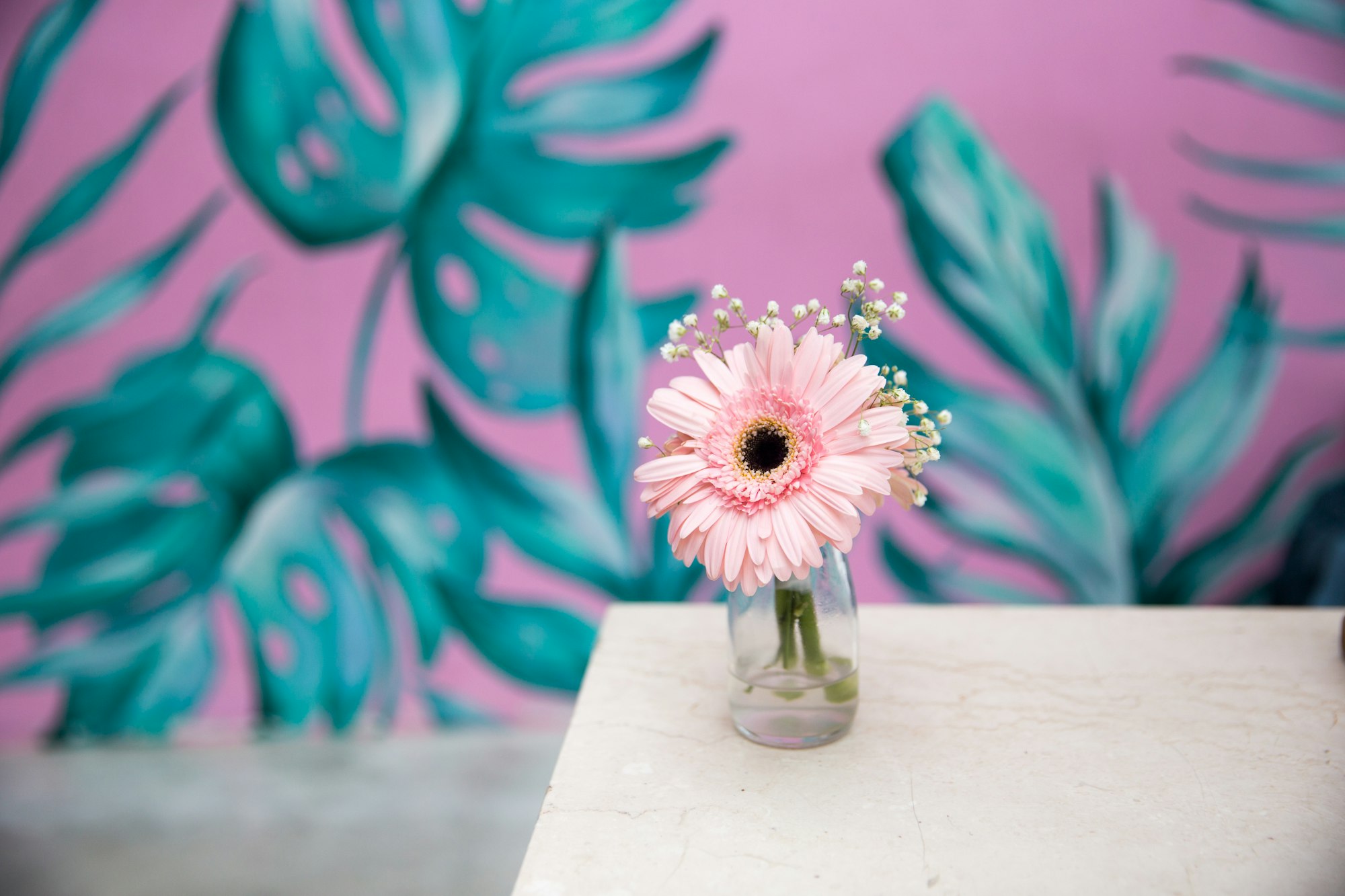 Pebbles background against beautiful spring pink flower.